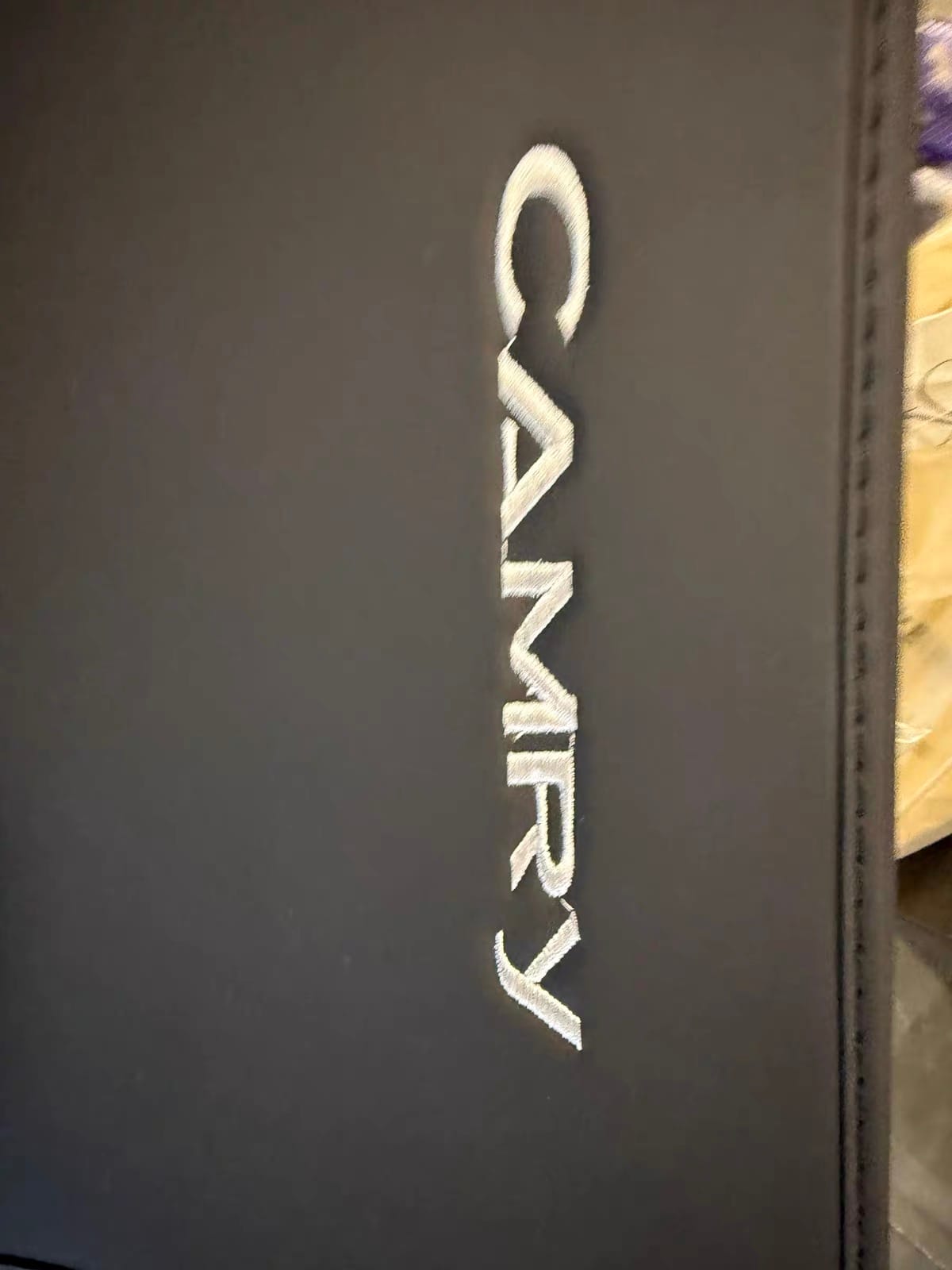 Toyota Camry kick mat installed, customer photo